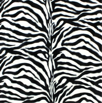 Fellimitat Zebra