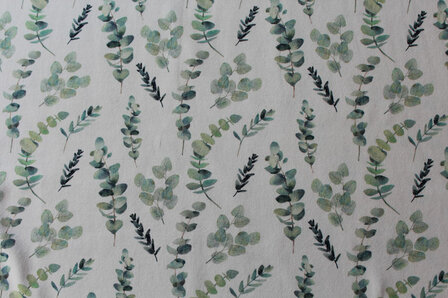 Baumwolljersey Eukalyptus 