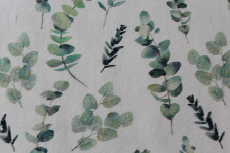 Baumwolljersey Eukalyptus 