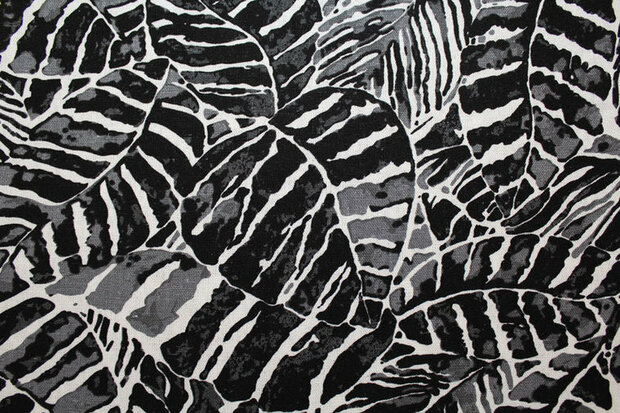 Monstera-Bl&auml;tter