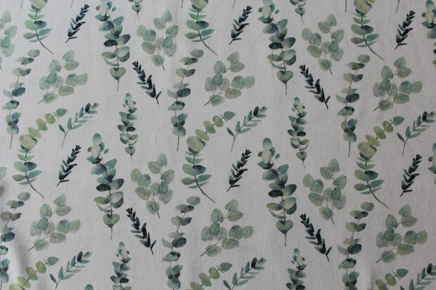 Baumwolljersey Eukalyptus 
