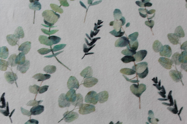 Baumwolljersey Eukalyptus 