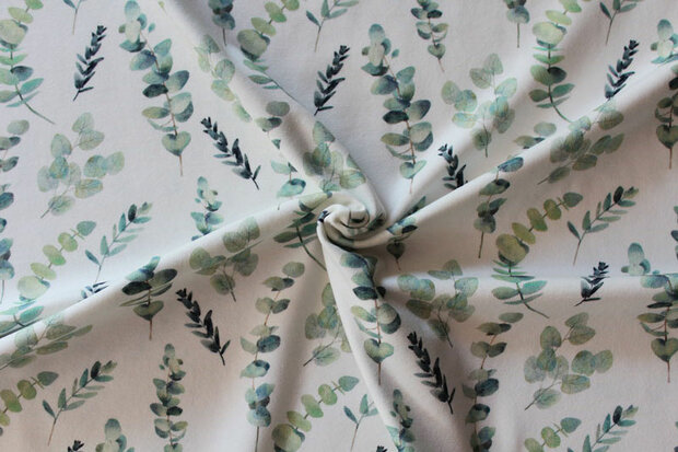 Baumwolljersey Eukalyptus 