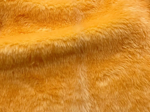 Kurzhaar Fellimitat uni