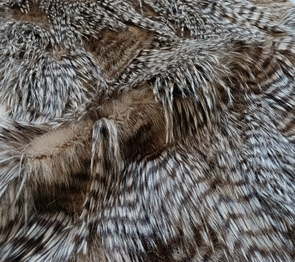 Langhaar Fellimitat Fasan