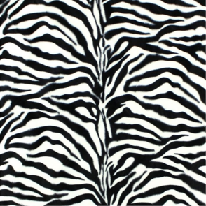 Fellimitat Zebra